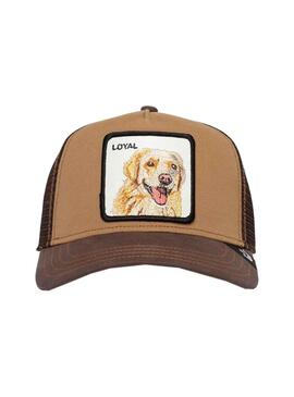 Gorra Goorin Bros The Loyal Dog Camel