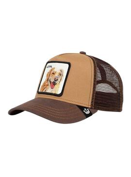 Gorra Goorin Bros The Loyal Dog Camel