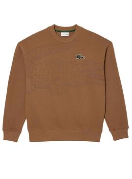 Sudadera Lacoste Jogger Loose Fit Marrón Hombre