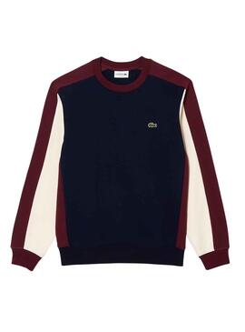 Sudadera Lacoste Jogger Felpa Marino Hombre