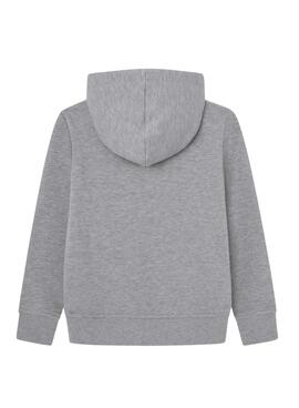 Sudadera Pepe Jeans New Lamonty capucha gris