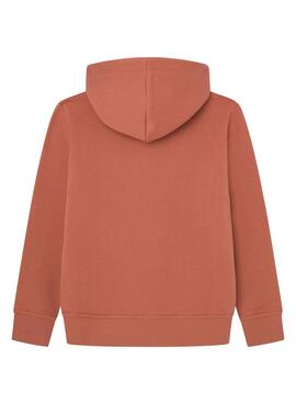 Sudadera Pepe Jeans Lamonty capucha marrón niño