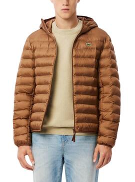 Cazadora Lacoste acolchada camel para hombre