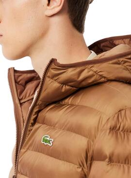 Cazadora Lacoste acolchada camel para hombre