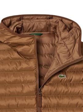 Cazadora Lacoste acolchada camel para hombre