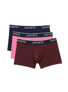 Calzoncillos Lacoste Boxer granate rosa y azul para hombre