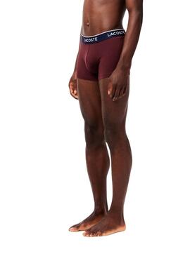 Calzoncillos Lacoste Boxer granate rosa y azul para hombre