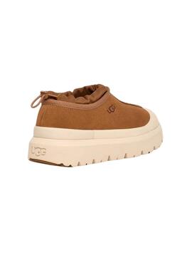 Zapatillas Tasman Weather Hybrid camel para hombre