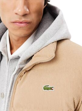 Cazadora Lacoste Pana beige para hombre