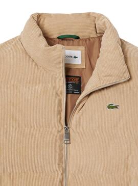 Cazadora Lacoste Pana beige para hombre