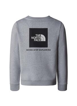 Sudadera The North Face Redbox Regular Crew Gris