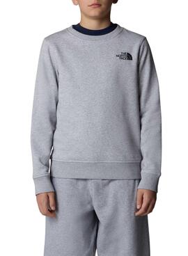 Sudadera The North Face Redbox Regular Crew Gris