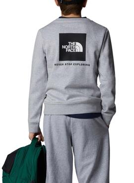 Sudadera The North Face Redbox Regular Crew Gris