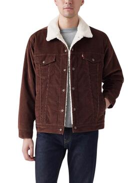 Cazadora Levis Sherpa Trucker marrón de pana para hombre