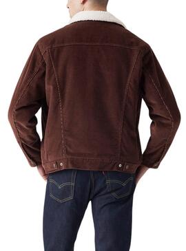 Cazadora Levis Sherpa Trucker marrón de pana para hombre