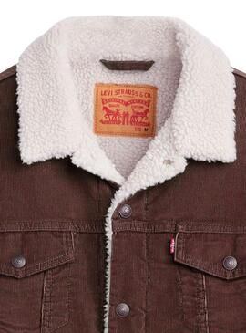 Cazadora Levis Sherpa Trucker marrón de pana para hombre